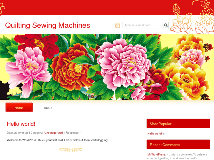 www.quiltingsewingmachinesstore.com