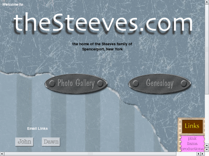 www.thesteeves.com