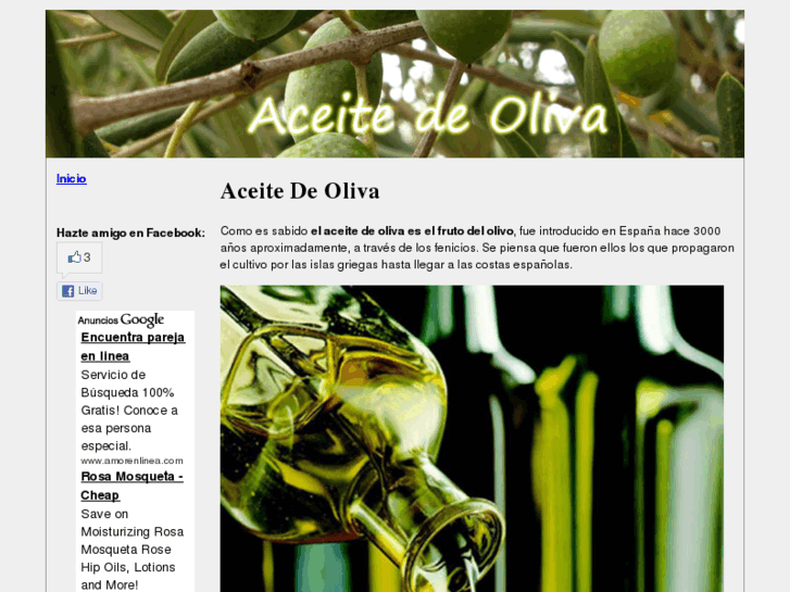 www.aceitedeoliva.org