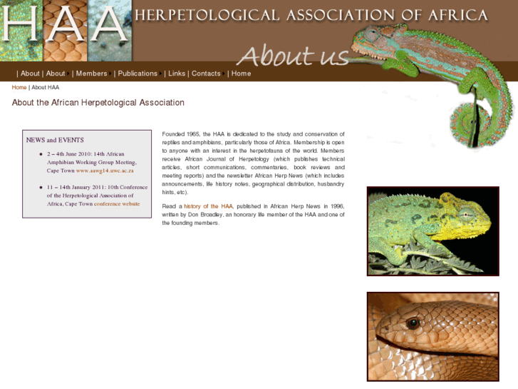 www.africanherpetology.com