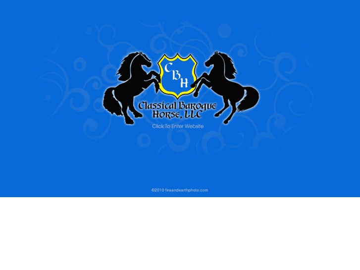 www.classicalbaroquehorse.com