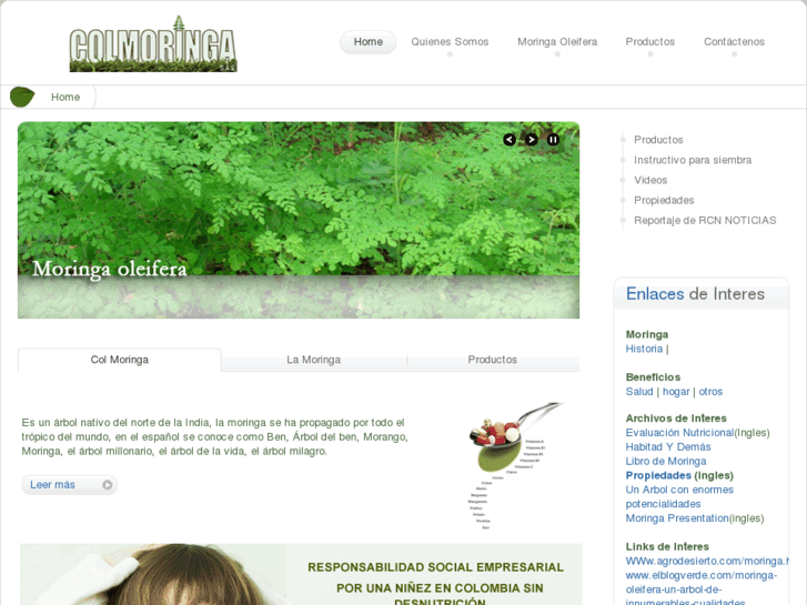 www.colmoringa.com