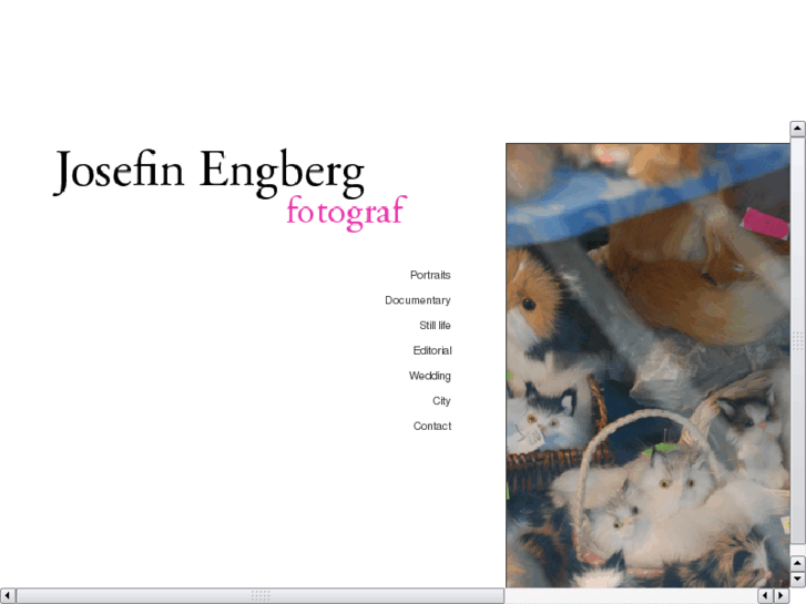 www.josefinengberg.com