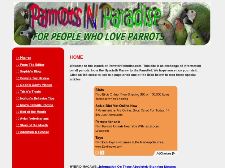 www.parrotsnparadise.com