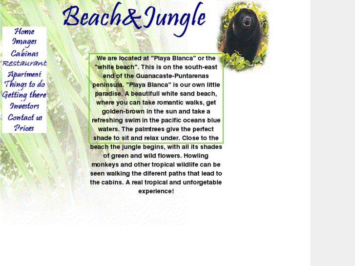 www.beachandjungle.com