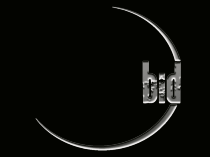 www.bidindahouse.com