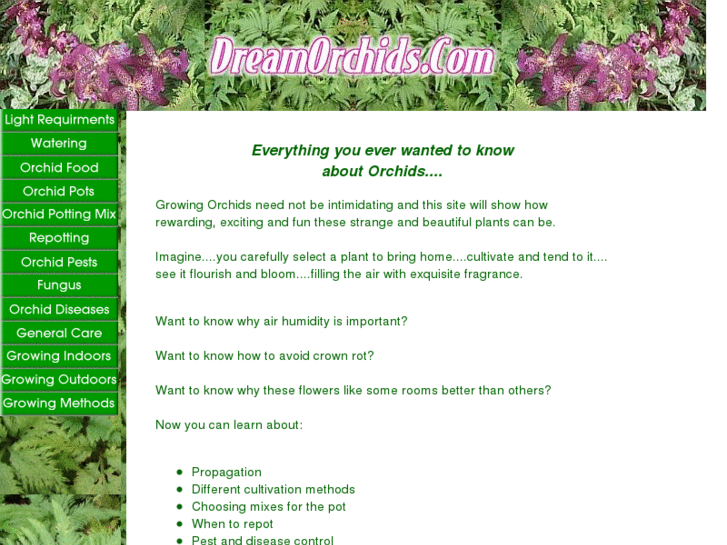 www.dream-orchid.com