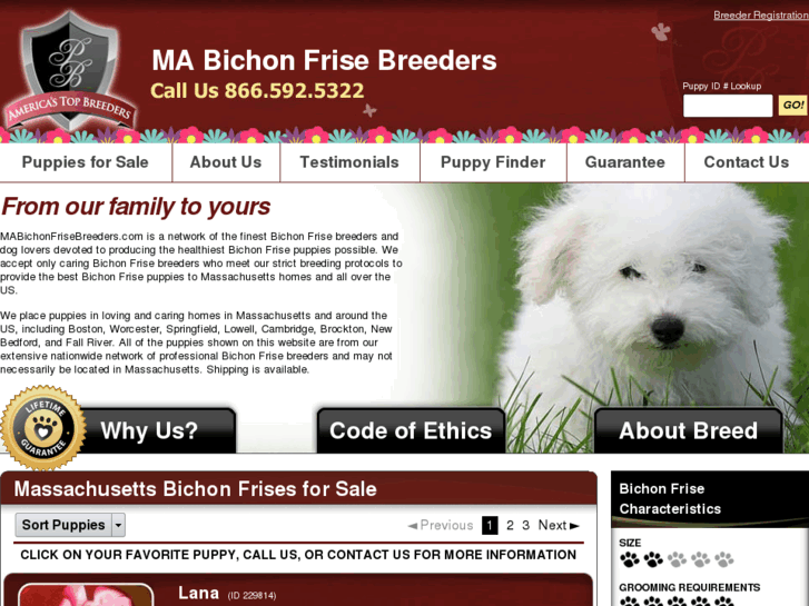 www.mabichonfrisebreeders.com