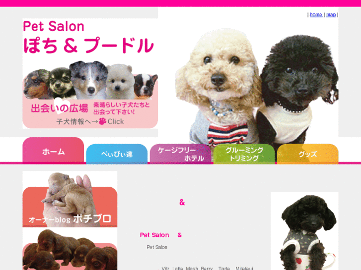 www.pochi-poodle.com