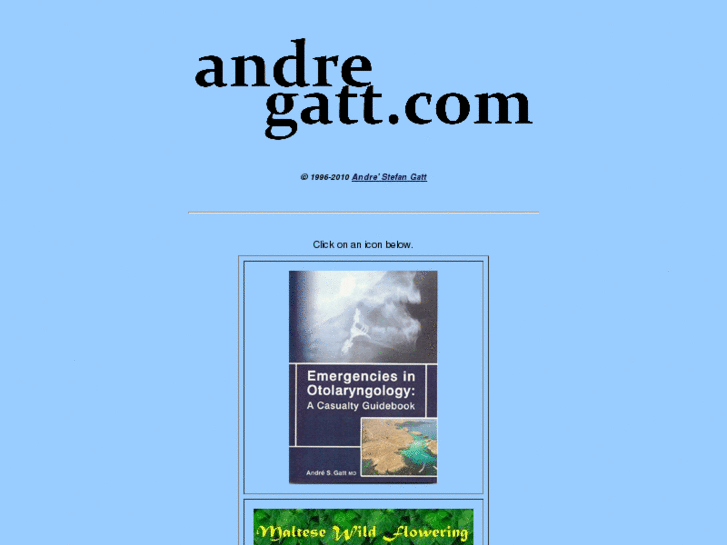 www.andregatt.com