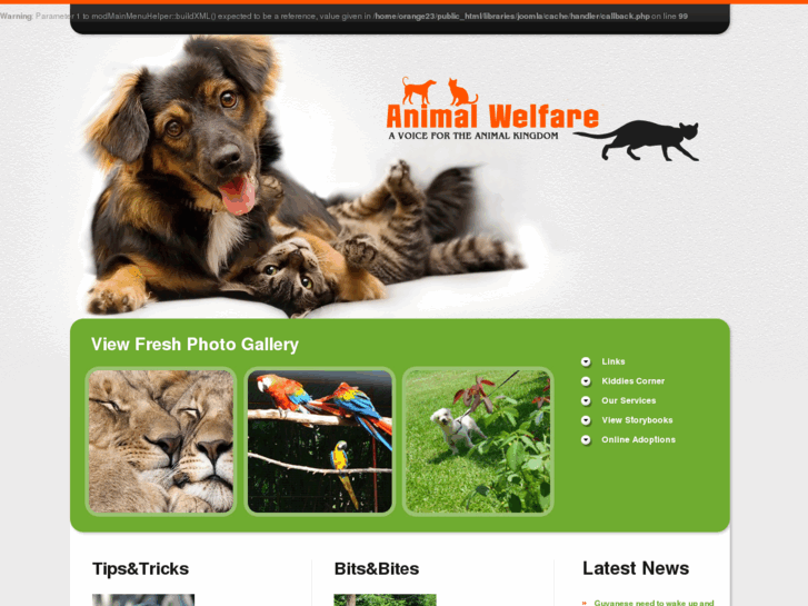 www.animalwelfaregy.com