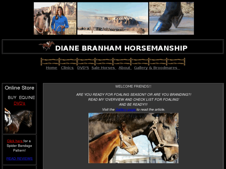 www.dianebranham.com