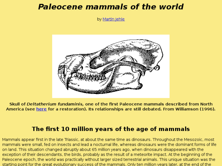 www.paleocene-mammals.de