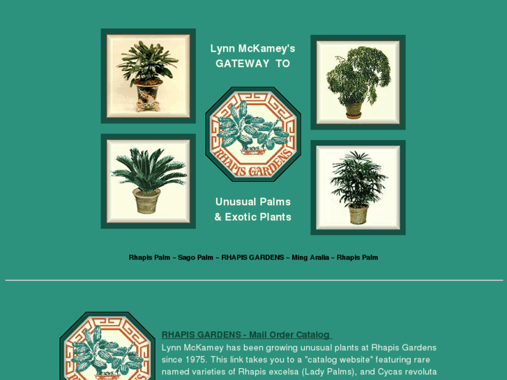 www.rarepalms.com