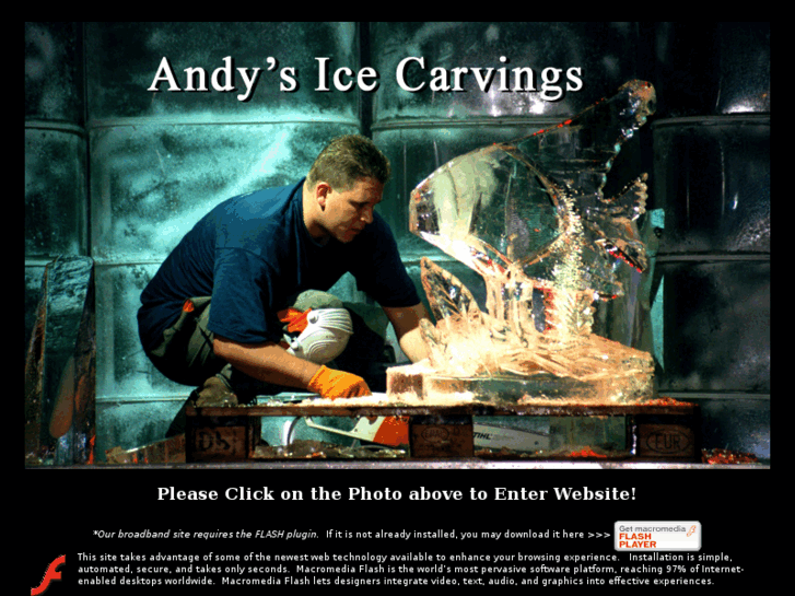 www.andysicecarvings.com