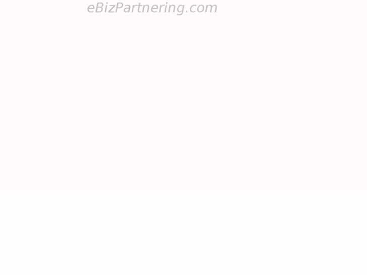 www.ebizpartnering.com