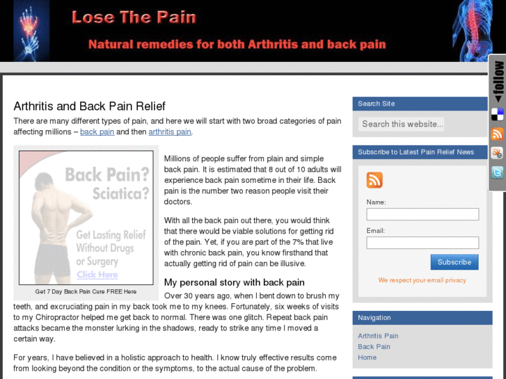 www.losethepainblog.com