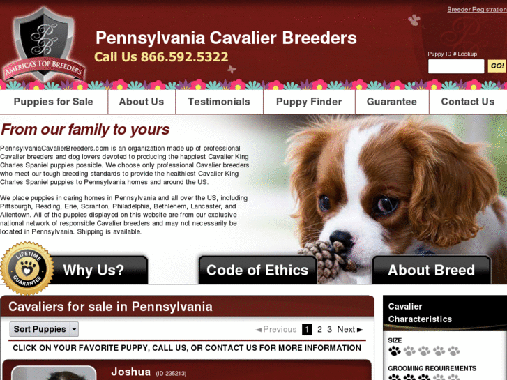 www.pennsylvaniacavalierbreeders.com