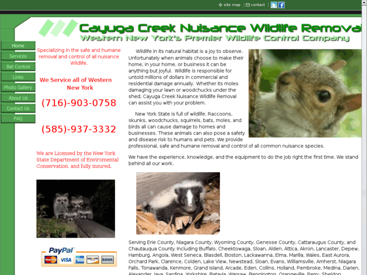 www.cayugacreekwildlife.com