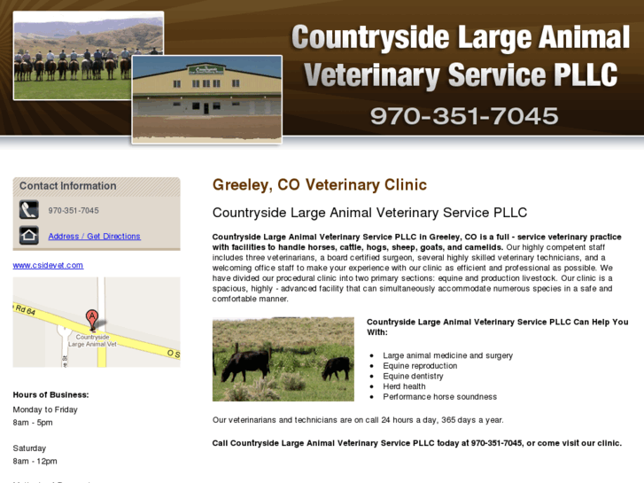 www.csvetgrl.com