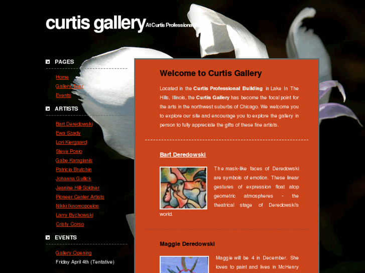www.curtisgallery.net