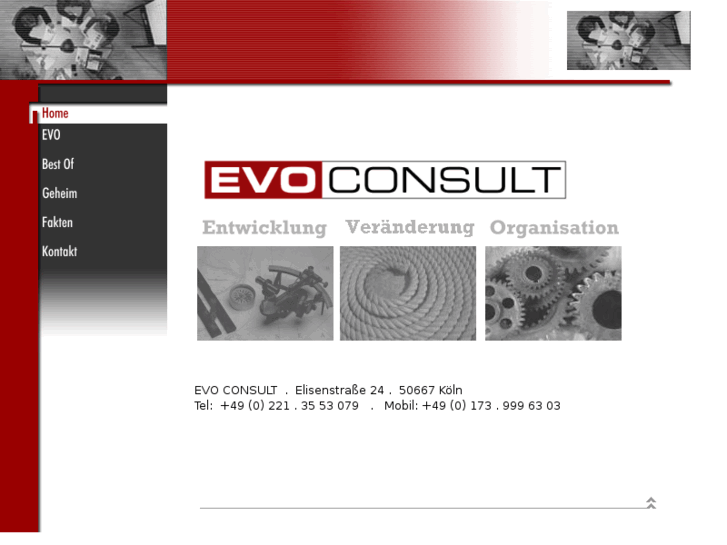 www.evo-consult.com