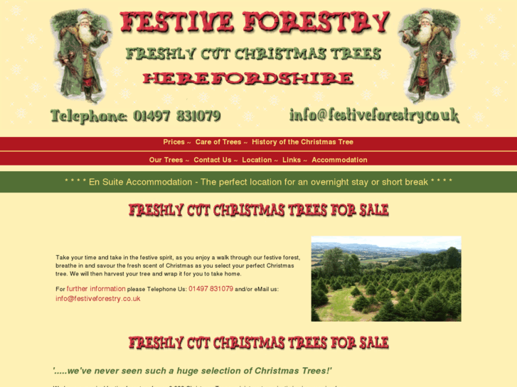 www.festiveforestry.co.uk