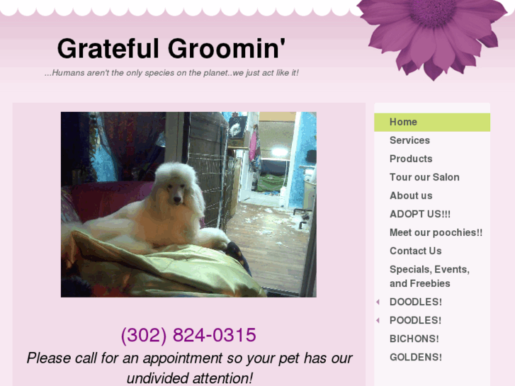 www.gratefulgroomin.com