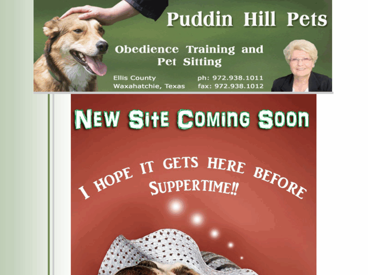 www.puddinhillpets.com