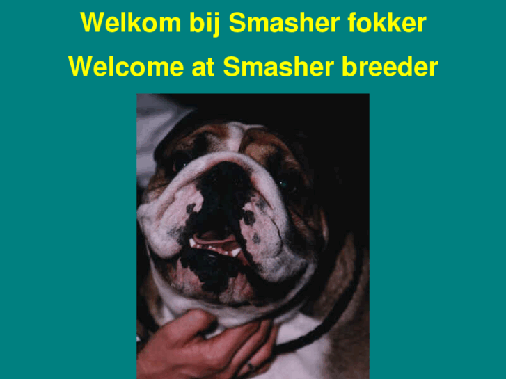 www.smasher.biz
