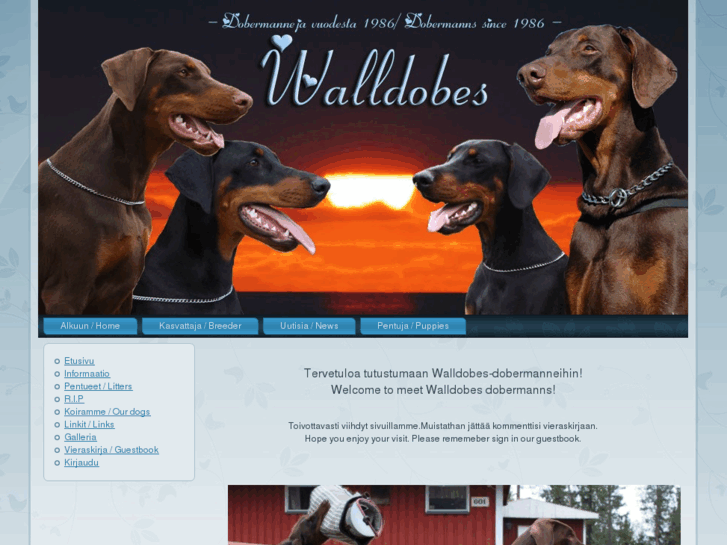 www.walldobes.com