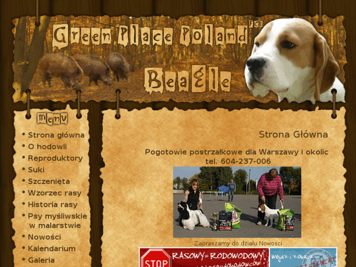 www.beagle.waw.pl