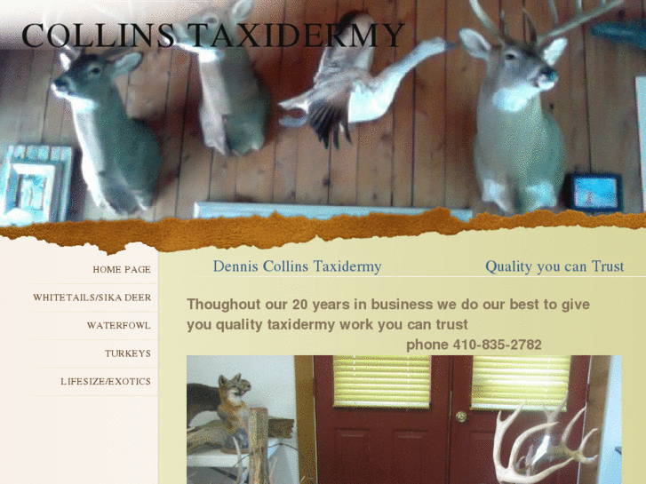 www.denniscollinstaxidermy.com