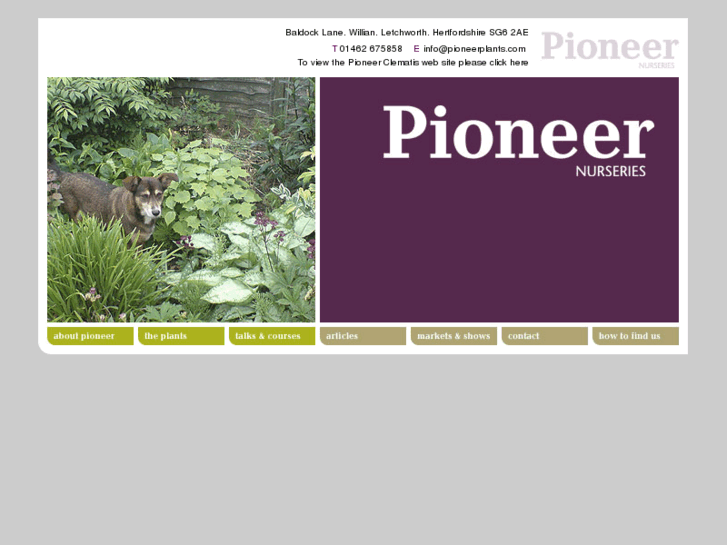 www.pioneerplants.com