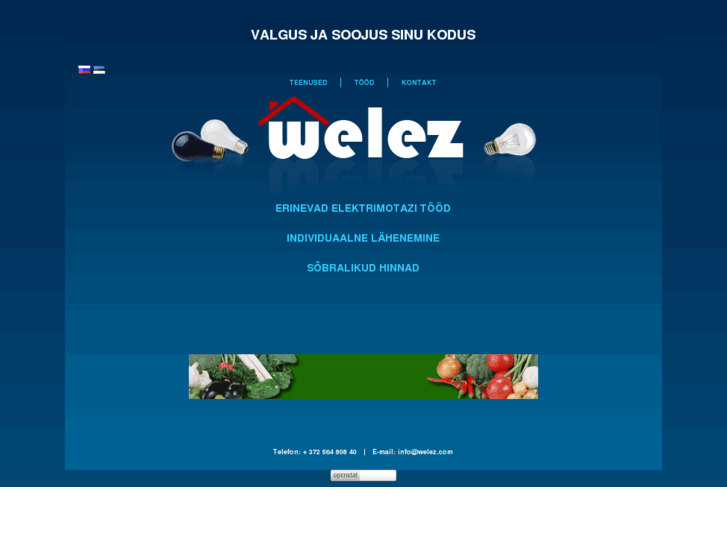 www.welez.com