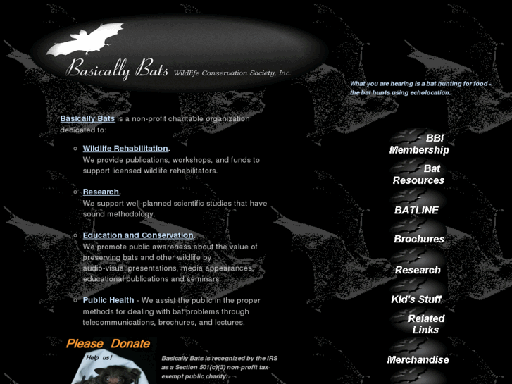 www.basicallybats.org