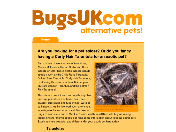 www.bugsuk.com