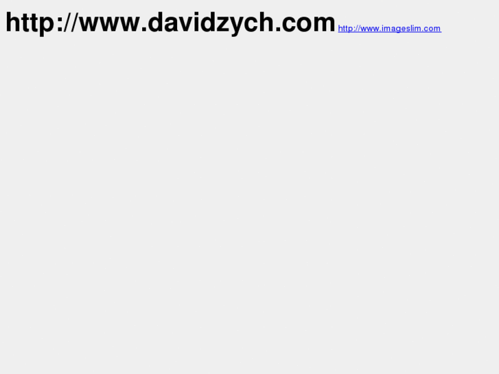 www.davidzych.net