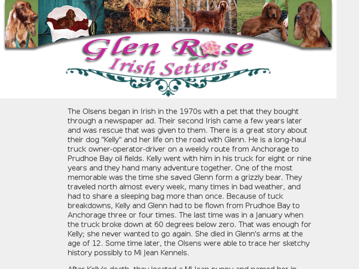 www.glenroseirishsetters.com