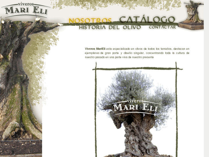 www.olivos-milenarios.com