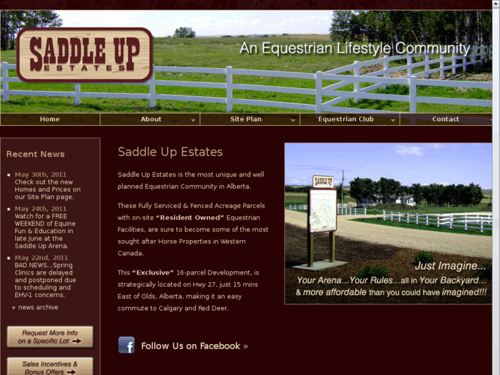 www.saddle-up.biz