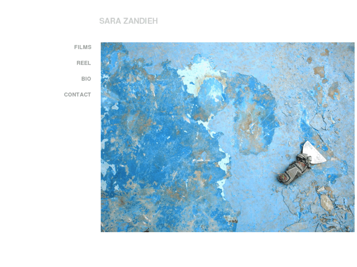 www.sarazandieh.com