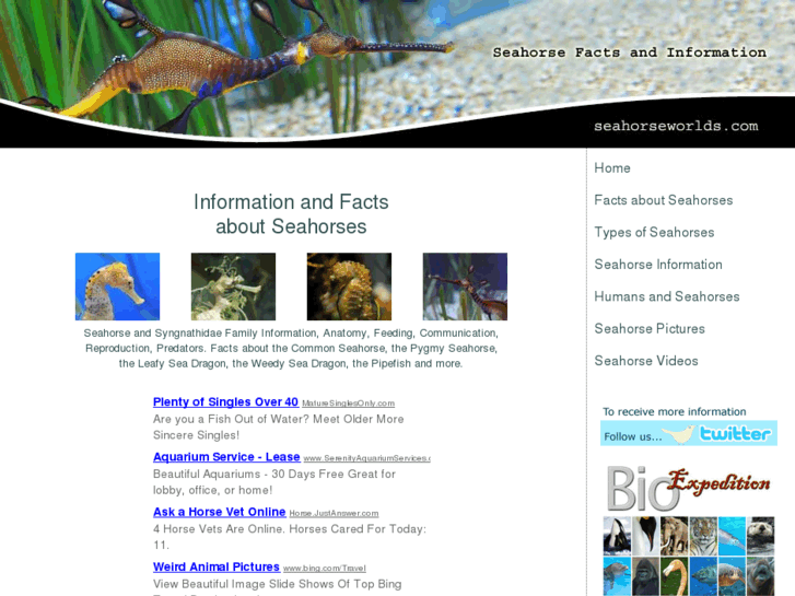 www.seahorseworlds.com