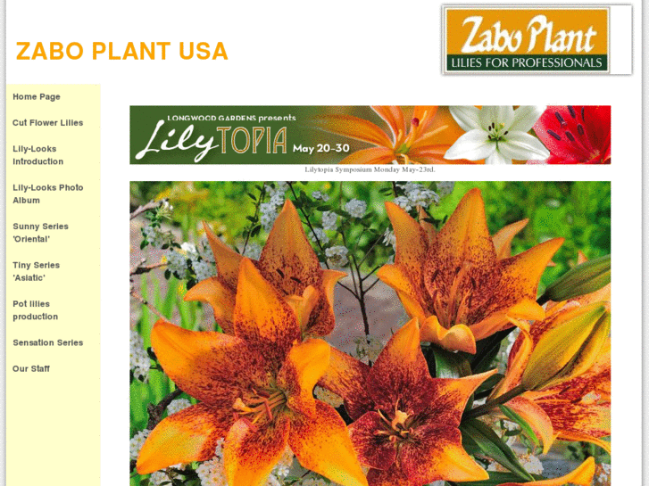 www.zaboplant.com