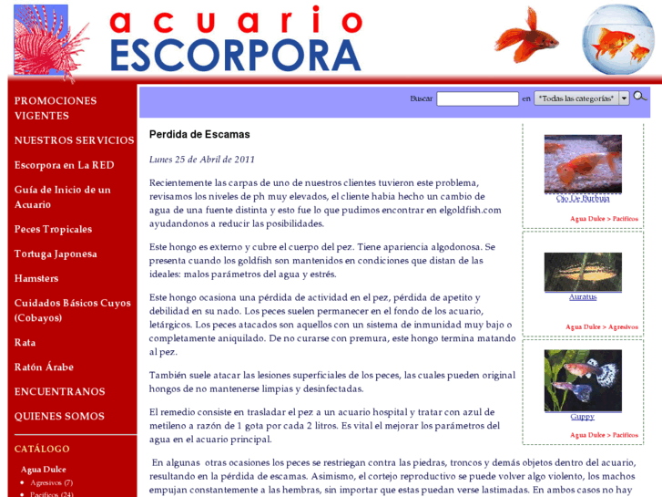 www.acuarioescorpora.com