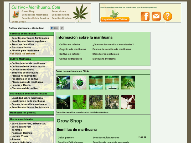 www.cultivo-marihuana.com