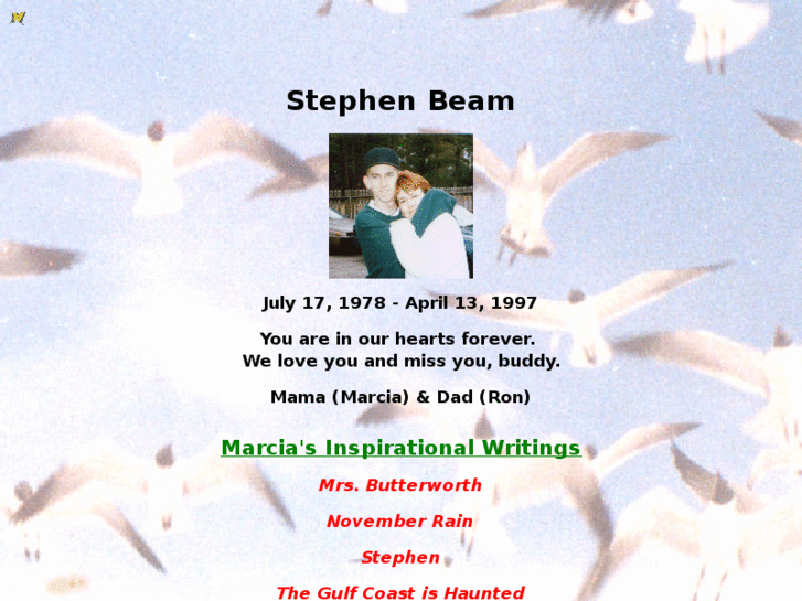 www.stephen-beam.com