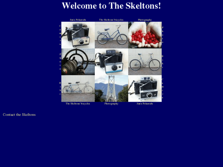 www.theskeltons.org