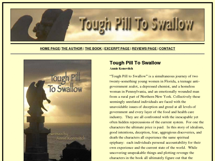 www.toughpilltoswallow.com