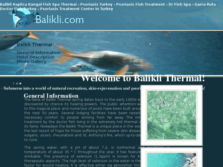 www.balikli.com